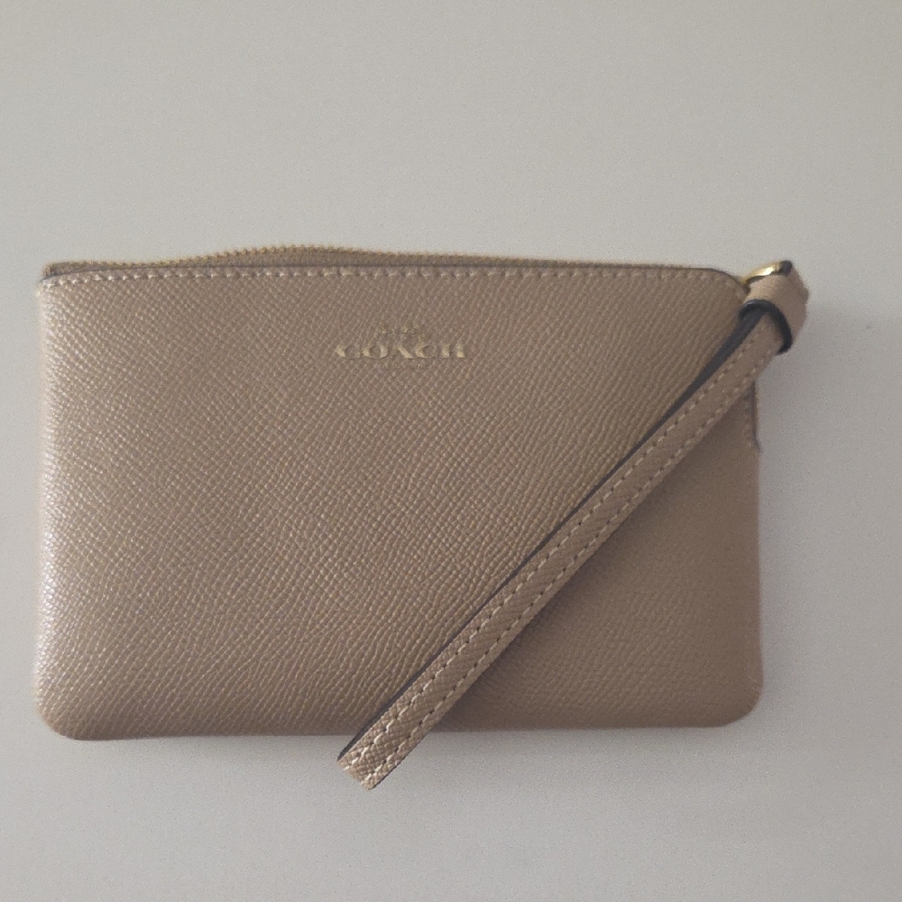 Coach Metallic Taupe Zip Pouch